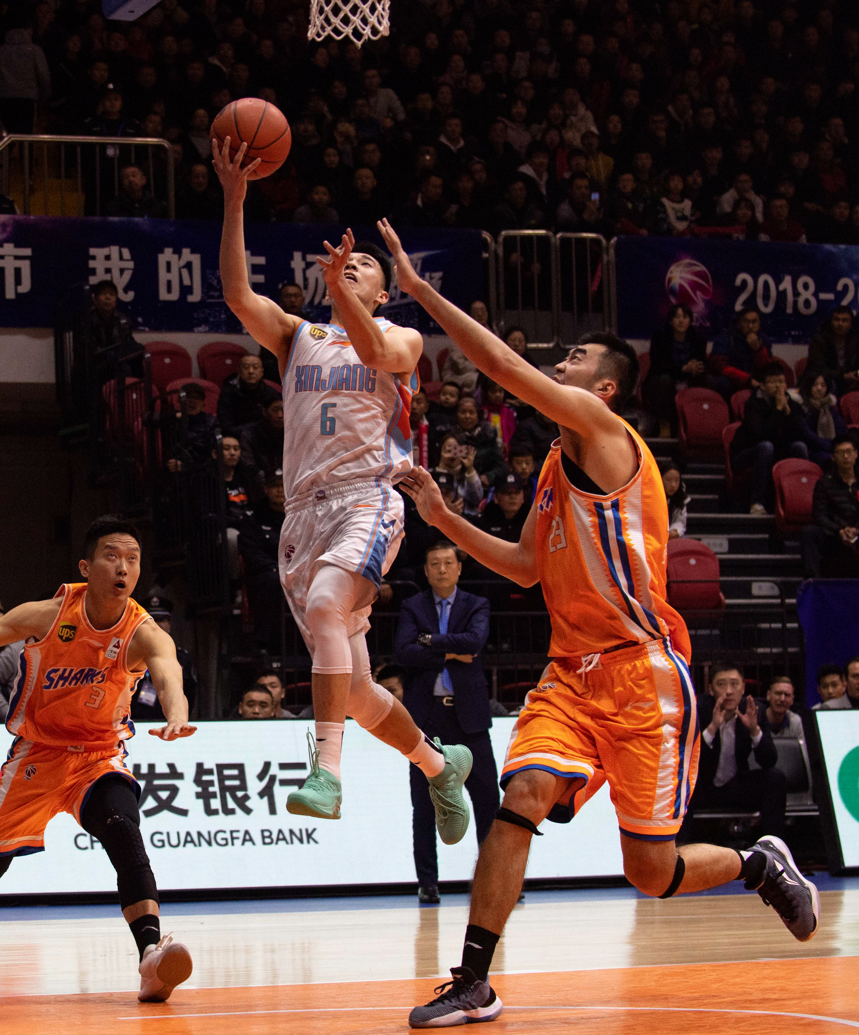 和适应能力 和适应能力