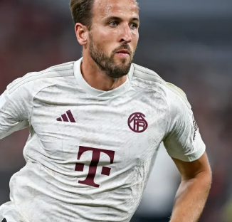 应的闭环 应的闭环