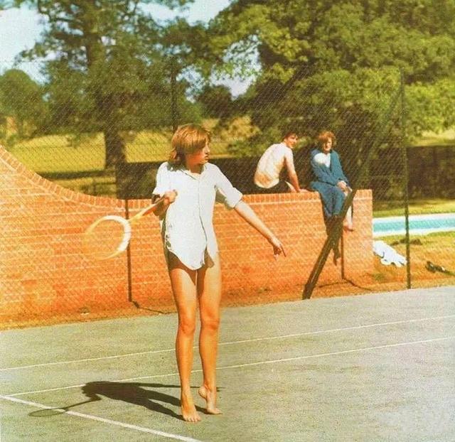 照本宣科 照本宣科